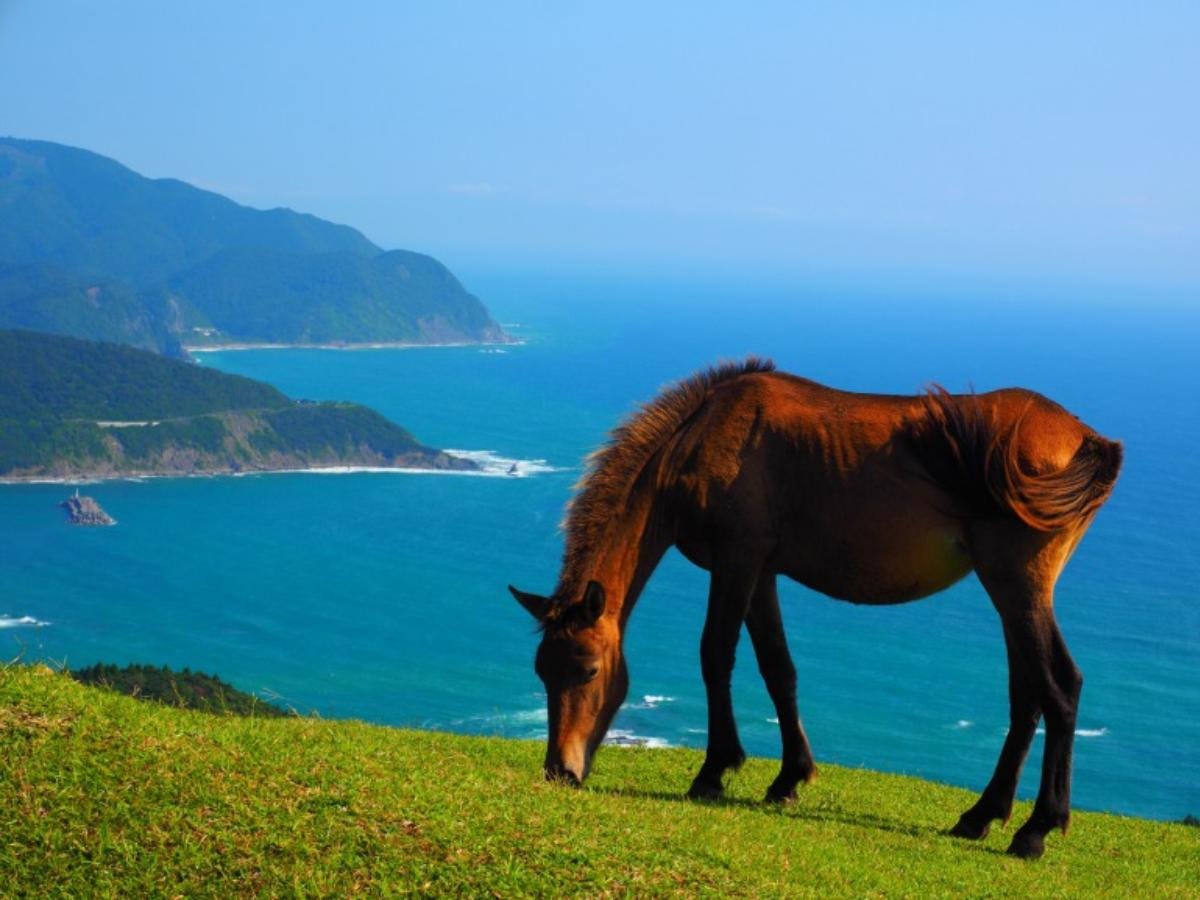 🗼 도이곶 등대(토이미사키토다이) 이미지 9